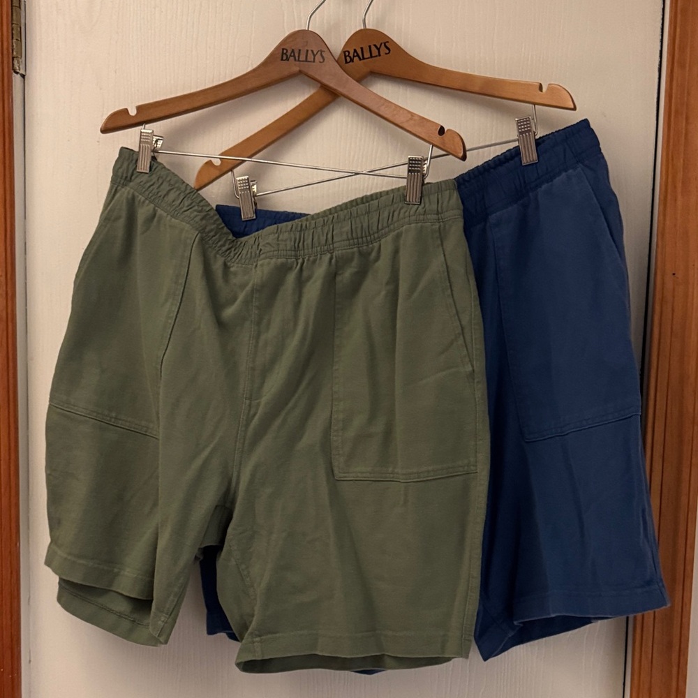 Bundle of 2 Free Assembly UTILITY Shorts in Green and Blue